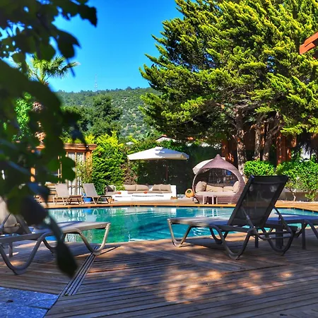 Costa 3* Bodrum
