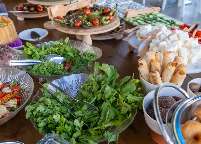 博德鲁姆哥斯达酒店 酒店